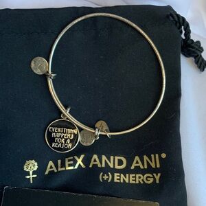 Alex and Ani Silver Charm Bracelet